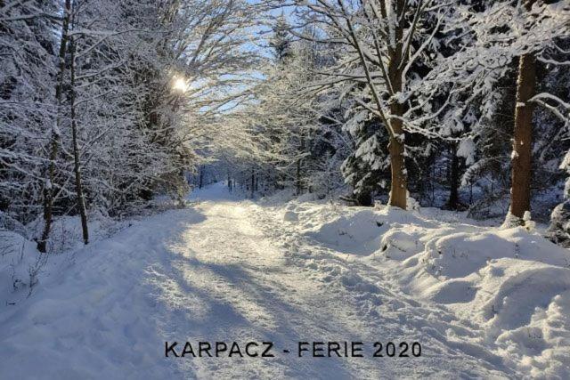 Karpacz4u - Apartament przy Deptaku - BON TURYSTYCZNY - Światłowód Exterior foto